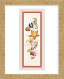 Seashore Discovery  (Framed) -  Lisa Danielle - McGaw Graphics