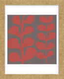 Maidenhair Coral Stem (double)  (Framed) -  Denise Duplock - McGaw Graphics