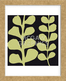 Green Fern on Black  (Framed) -  Denise Duplock - McGaw Graphics