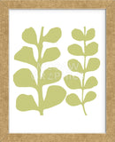 Green Fern on White  (Framed) -  Denise Duplock - McGaw Graphics