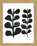 Maidenhair (black on white)  (Framed) -  Denise Duplock - McGaw Graphics