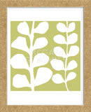 White Fern on Green (Framed) -  Denise Duplock - McGaw Graphics