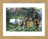 Basking in the Balsams (Framed) -  Kevin Daniel - McGaw Graphics