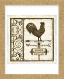 Weathervane Wisdom II (Framed) -  Daphné B - McGaw Graphics