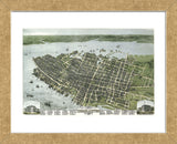Bird’s Eye View of the City of Charleston, South Carolina, 1872 (Framed) -  C.N. Drie - McGaw Graphics