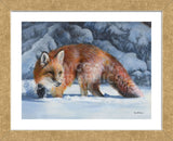 Fox at the Pines (Framed) -  Kevin Daniel - McGaw Graphics