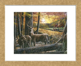 Autumn Harvest (Framed) -  Kevin Daniel - McGaw Graphics