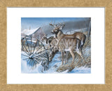 Snow Drifters (Framed) -  Kevin Daniel - McGaw Graphics