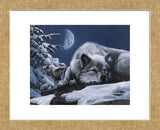 Sleepless Night (Framed) -  Kevin Daniel - McGaw Graphics