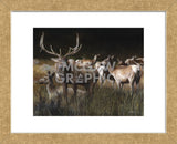 The Gathering (Framed) -  Kevin Daniel - McGaw Graphics