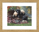 Cozy Moments (Framed) -  Kevin Daniel - McGaw Graphics