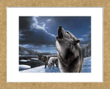 Howling Wolf (Framed) -  Kevin Daniel - McGaw Graphics