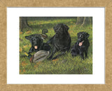 Getting Familiar (Framed) -  Kevin Daniel - McGaw Graphics
