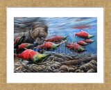 The Last Run - Sockeye Salmon (Framed) -  Kevin Daniel - McGaw Graphics