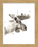 Moose (Framed) -  Philippe Debongnie - McGaw Graphics