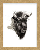 Buffalo (Framed) -  Philippe Debongnie - McGaw Graphics