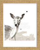 Deer (Framed) -  Philippe Debongnie - McGaw Graphics