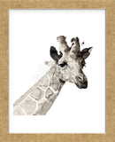 Giraffe (Framed) -  Philippe Debongnie - McGaw Graphics