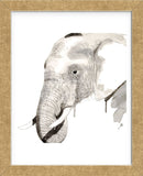 Elephant (Framed) -  Philippe Debongnie - McGaw Graphics