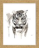 Tiger (Framed) -  Philippe Debongnie - McGaw Graphics