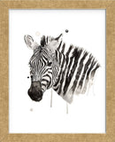 Zebra II (Framed) -  Philippe Debongnie - McGaw Graphics