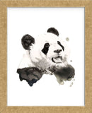 Panda (Framed) -  Philippe Debongnie - McGaw Graphics