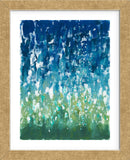 Summer Storm (Framed) -  Rob Delamater - McGaw Graphics