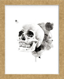 Skull II (Framed) -  Philippe Debongnie - McGaw Graphics