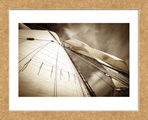 All Sails Set (Framed) -  Jim Dugan - McGaw Graphics