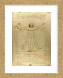 Vitruvian Man (Framed) -  Leonardo da Vinci - McGaw Graphics