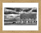 Horse and Barn (Framed) -  Trent Foltz - McGaw Graphics