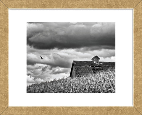 Flying Solo (Framed) -  Trent Foltz - McGaw Graphics
