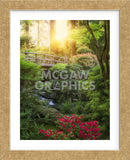 Awakening Garden II (Framed) -  Dennis Frates - McGaw Graphics