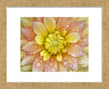 Sunburst (Framed) -  Dennis Frates - McGaw Graphics