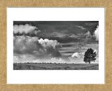 Sheep on the Horizon (Framed) -  Trent Foltz - McGaw Graphics