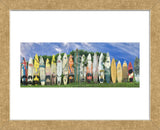 Surfboard Fence (Framed) -  Dennis Frates - McGaw Graphics