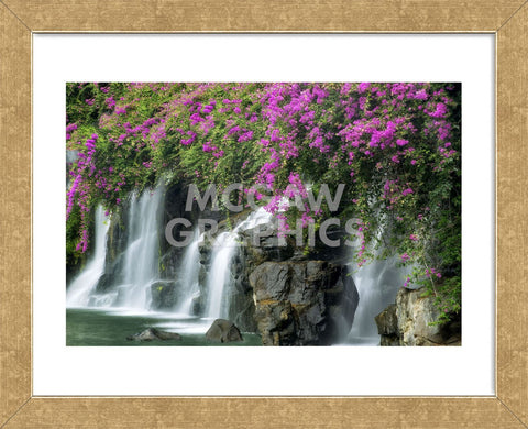 Floral Falls (Framed) -  Dennis Frates - McGaw Graphics