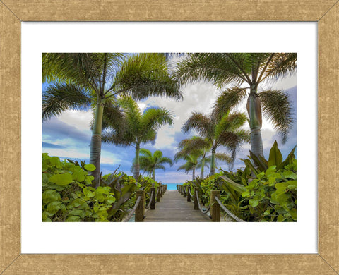 Paradise Path (Framed) -  Dennis Frates - McGaw Graphics