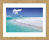 Tropical Simplicity (Framed) -  Dennis Frates - McGaw Graphics