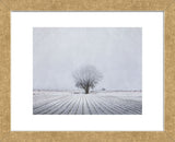 Foggy Winter Morning (Framed) -  Trent Foltz - McGaw Graphics