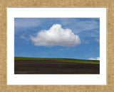 Spring Cloud (Framed) -  Trent Foltz - McGaw Graphics