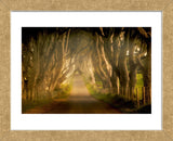Enchanted Road (Framed) -  Dennis Frates - McGaw Graphics