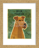 Irish Terrier  (Framed) -  John W. Golden - McGaw Graphics