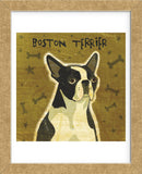 Boston Terrier (square)  (Framed) -  John W. Golden - McGaw Graphics
