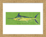 Blue Marlin  (Framed) -  John W. Golden - McGaw Graphics
