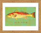 Red Drum  (Framed) -  John W. Golden - McGaw Graphics