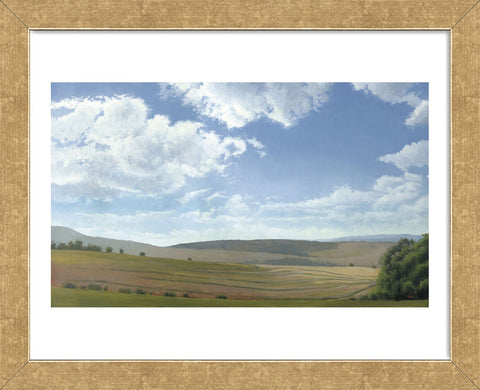 Shadow and Sunlight, Hayfield (Framed) -  Elissa Gore - McGaw Graphics