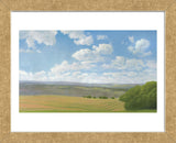 Hayfield II (Framed) -  Elissa Gore - McGaw Graphics