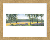 Stone Wall (Framed) -  Elissa Gore - McGaw Graphics