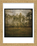 A Line of Pines (Framed) -  John W. Golden - McGaw Graphics
